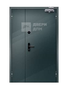 Глухая полуторная ДПМ-02 EI-60 противопожарная дверь взломостойкая